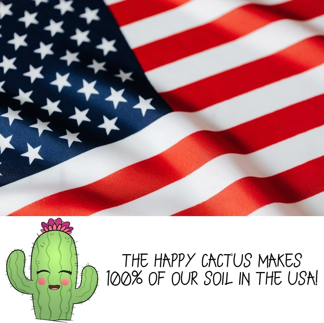 High Drainage Cactus Soil Potting Mix with Mycorrhizal Fungi - 4 Quarts of Soil - Slightly Acidic Blend